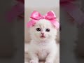 cute ba ako? #cute #reels