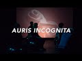 Auris incognita2021