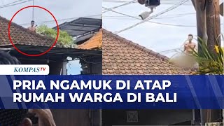 Pria Ngamuk di Atap Rumah Hingga Aniaya Warga di Bali | SAPA PAGI