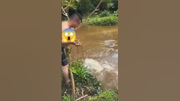 A very large catfish was caught 😱 #fishing #angling #shorts