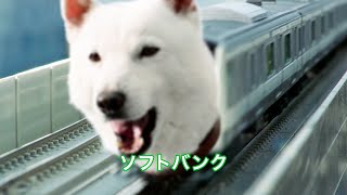 【ソフトバンク】白戸家のお父さんが電車になる！？上戸彩と山手線ゲームで真剣勝負も　ソフトバンク新WEBCM「山手線ゲーム」篇「鉄道模型で」篇