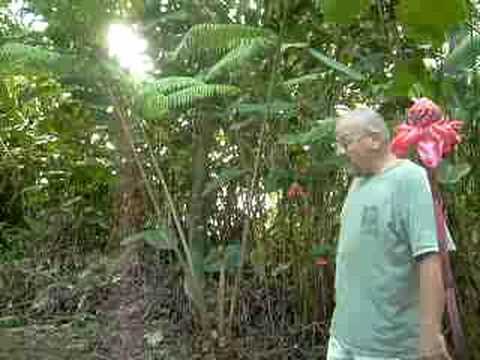 doghouse hotel In The Garden with Tony Miller