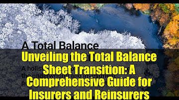 Unveiling the Total Balance Sheet Transition: A Comprehensive Guide for Insurers and Reinsurers
