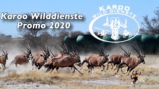 Karoo Wilddienste 2020 screenshot 4
