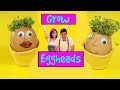 Grow Eggheads | Fun Activities For Kids At Home | Bella &amp; Beans TV