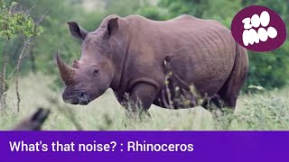 Rhinoceros | What's that noise? | Animal Video For Kids | ZooMoo