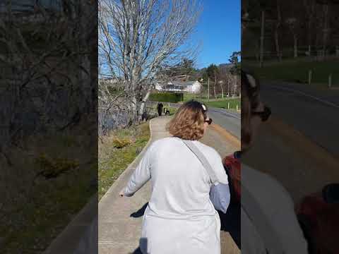 day trip huon