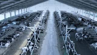 TDM - Ventilation and cooling systems ENGLISH