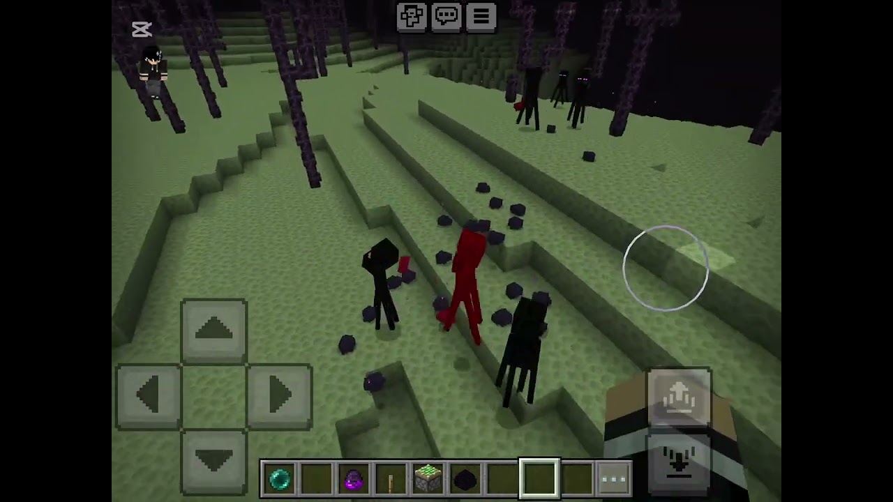 Minecraft theory- Enderman
