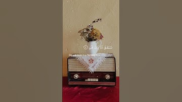 سورة المسد💙