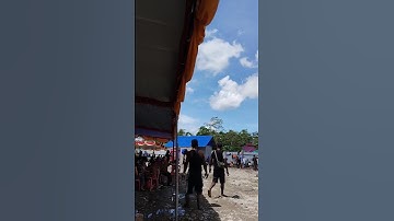 acara peresmian pembagian daging babi bakar batu #papuaindah #timika #orangpapua #papua #timikadolar