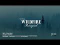 Eric Nam Wildfire Reimagined Official Visualizer