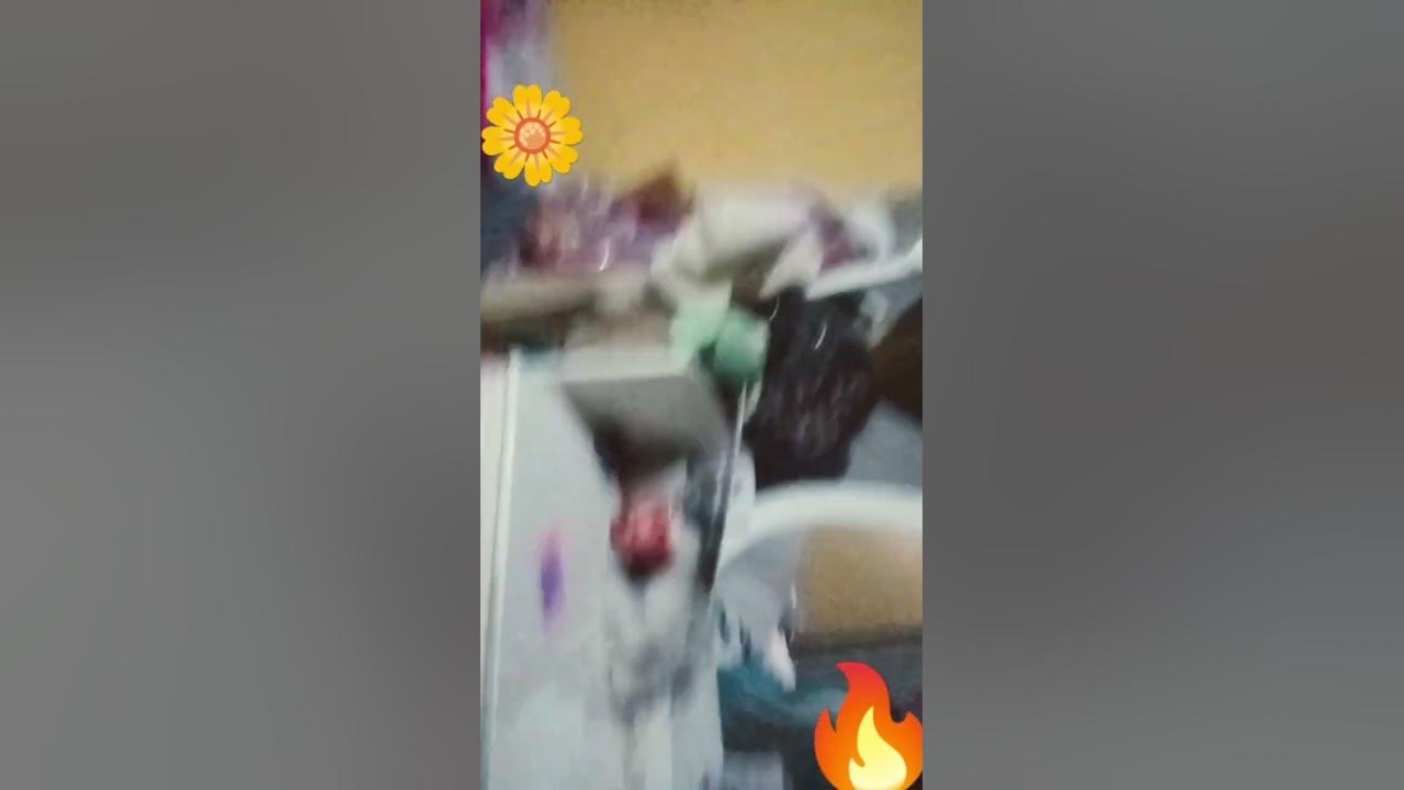 holi n