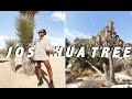 JOSHUA TREE VLOG! Anniversary Trip 2020 | Staycation Travel Vlog | Tanicha Rose