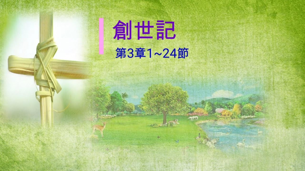 3 9 15 21 Next Sequence 3 9 15 21 Next Sequence