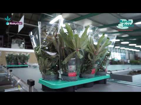 Product video thumbnail