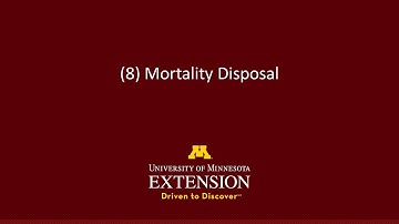 Principle #8 - Mortality Disposal