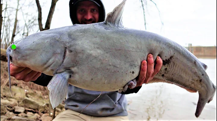 Best Spring catfishing spots on large rivers