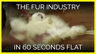 The Fur Industry in 60 Seconds Flat