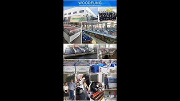 MZ73212 wood drilling boring machine operation vedio