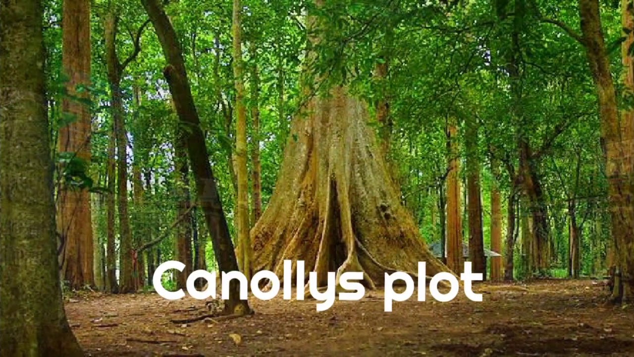 One Day Trip Places In Kerala From Malappuram