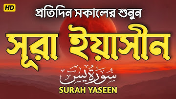 প্রতিদিন সকালে শুনুন সূরা ইয়াসীন | সকালের সেরা আমল ( سورة يس) Surah Yasin | By Shamsul Haque