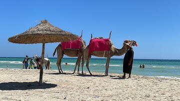فديو جديد مميز من جزيرة الأحلام جربة جولة في النزل مع الاسعار والأكل #اكسبلور #travel #بحر #جربة 