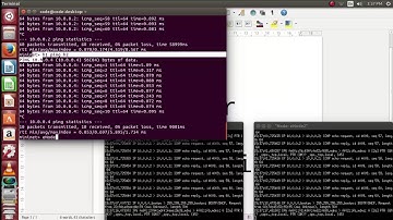 Mininet openflow tutorial