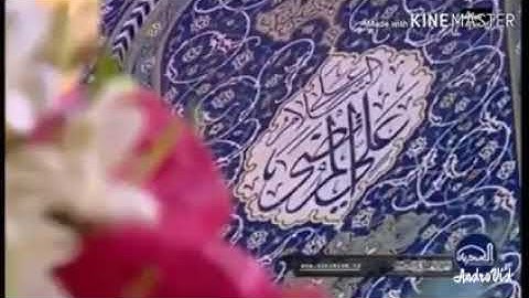 القارئ صادق الزيدي 🌸مقاطع قرانية جميلة من سورة القصص🌸 رابط التلاوة كاملة بالاسفل👇