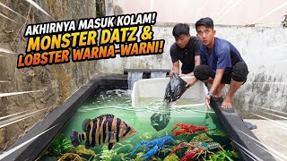 WOW! I HUNTED A NEW FISH & PUT A DATZ MONSTER INTO THE BLACK POOL