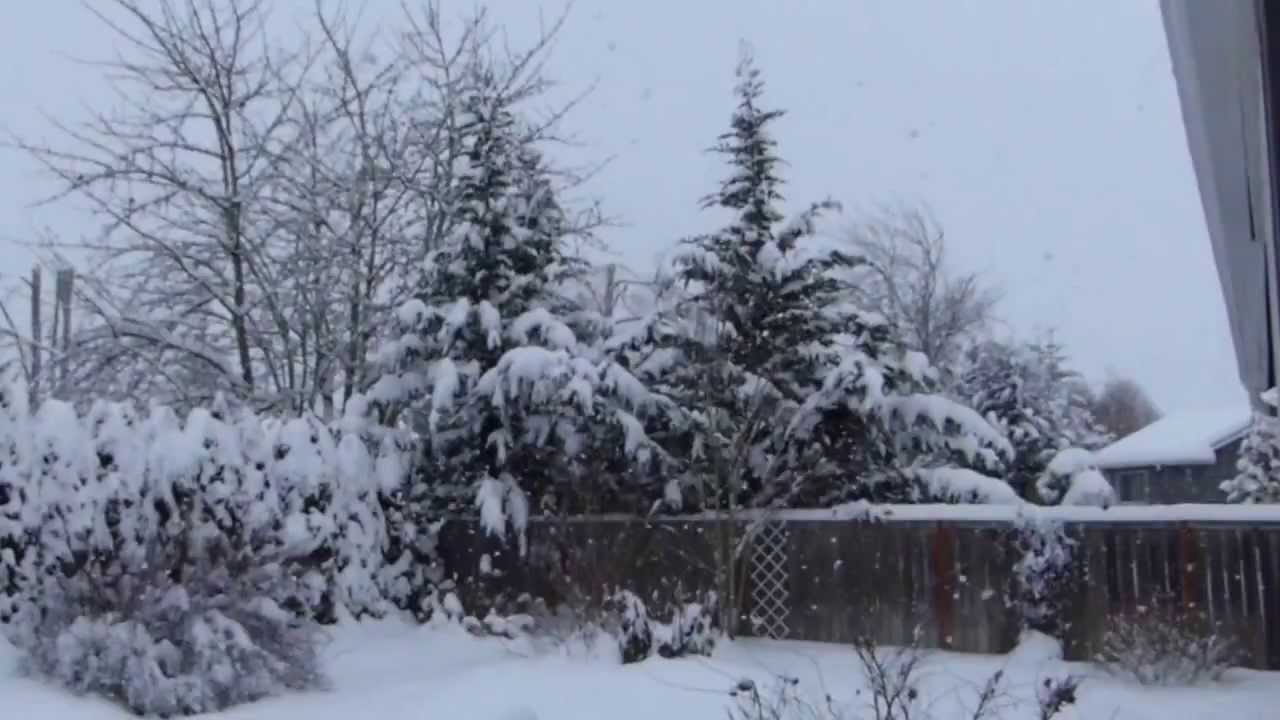 Snow in Monmouth, Oregon YouTube