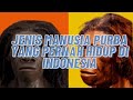 6 Jenis Manusia Purba yang Pernah Hidup di Indonesia