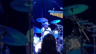 Famous Artimus Pyle Drum Solo Wealth