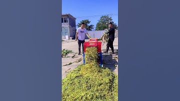 Máy Băm Cỏ Cho Bò Và Gia Súc