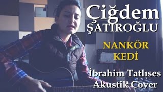 Nankör Kedi - İbrahim Tatlıses (Akustik Pop Cover)