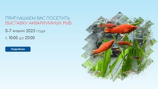 Приглашение На Всероссийскую Выставку Аквариумистики 5,6,7 Января 2023Г  Русские Аквариумы