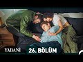 Yabani 26 blm