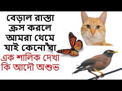 ভিডিও: কি কুসংস্কার এবং অশুভ দরজা সঙ্গে জড়িত