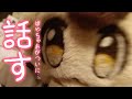 超雑談