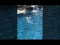 Lizard Surprises Hotel Guests As It Joins Them For A Swim ViralHog 