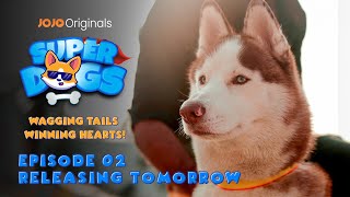 SUPER DOGS | EPISODE 2 PROMO | DOG SHOW | JOJO