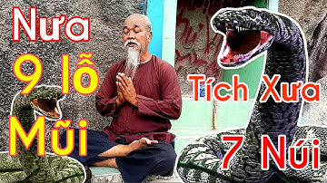 Điện Cửu Nương l  Rắn 9 Mũi l Thất Sơn Huyền Bí l Núi Bà Đội Om