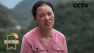 《遍地英雄》乡村教师蒙晓梅：五百多山里娃的妈妈 20200528 | CCTV农业