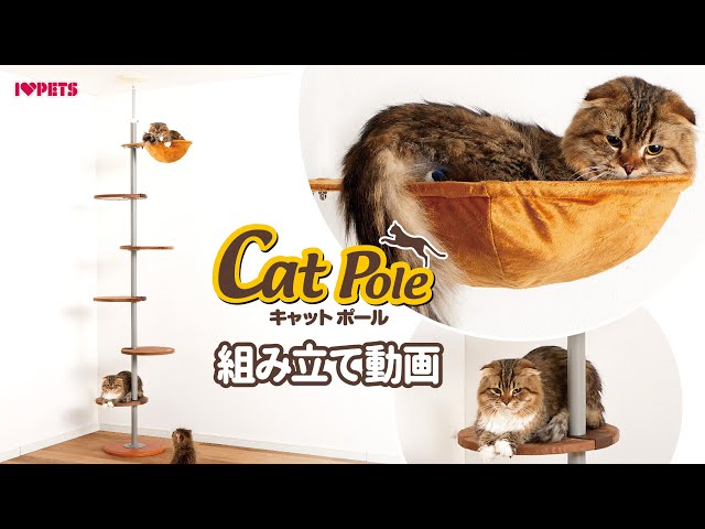 映える猫ツリー_上下運動に_突っ張り_キャットポール_ハンモック付き_
