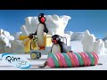 Pingu Just Wants to Have Fun🐧 | Pingu - Official Channel | Cartoons For Kids