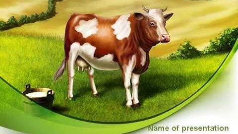 Cow On The Nature PowerPoint Template by PoweredTemplate.com