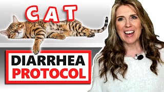 Help! My Cat Has Diarrhea ... What Should I Do?