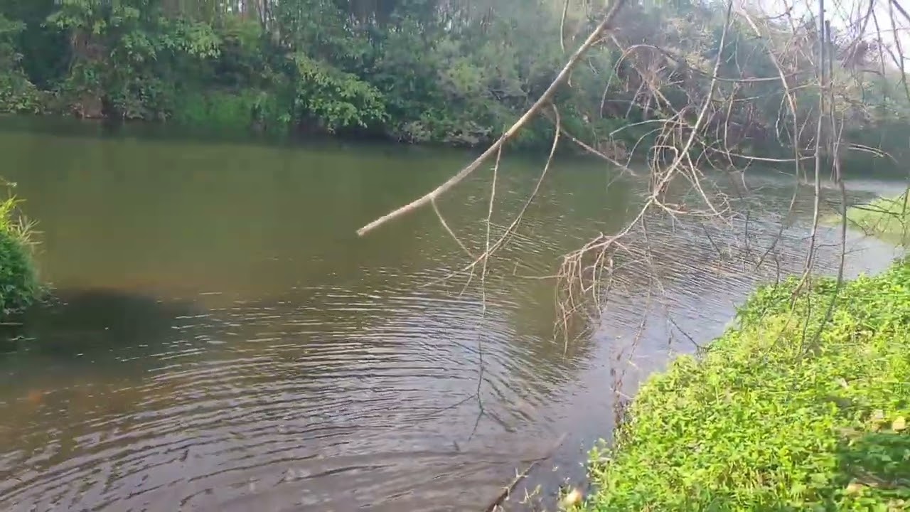 Travel vlog #travel #viralvideo