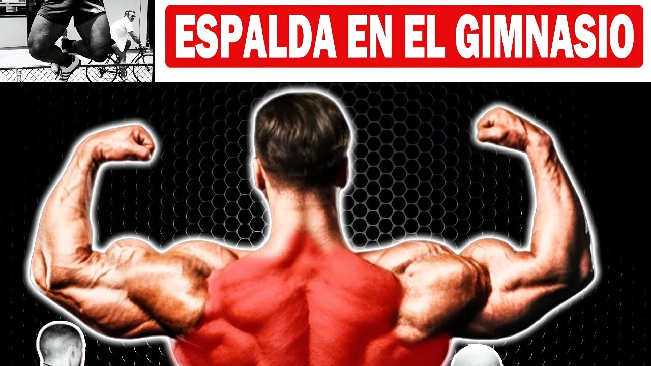 12 Ejercicios Esenciales para una Espalda Fuerte y Definida en el ...