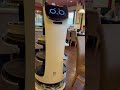 SERVICE ROBOT